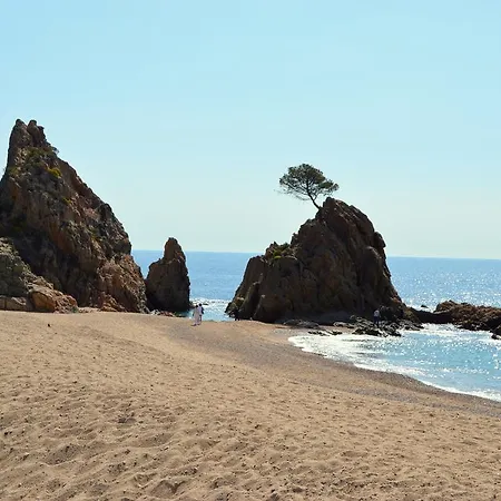 Apartamento Cala Salions *